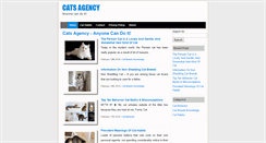 Desktop Screenshot of catsagency.com